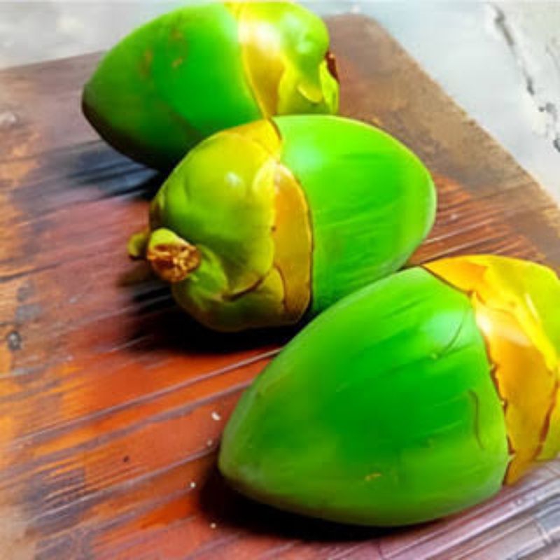 

Beluluk Buah Kelapa kecil / Tembuluk buah kelapa muda fresh