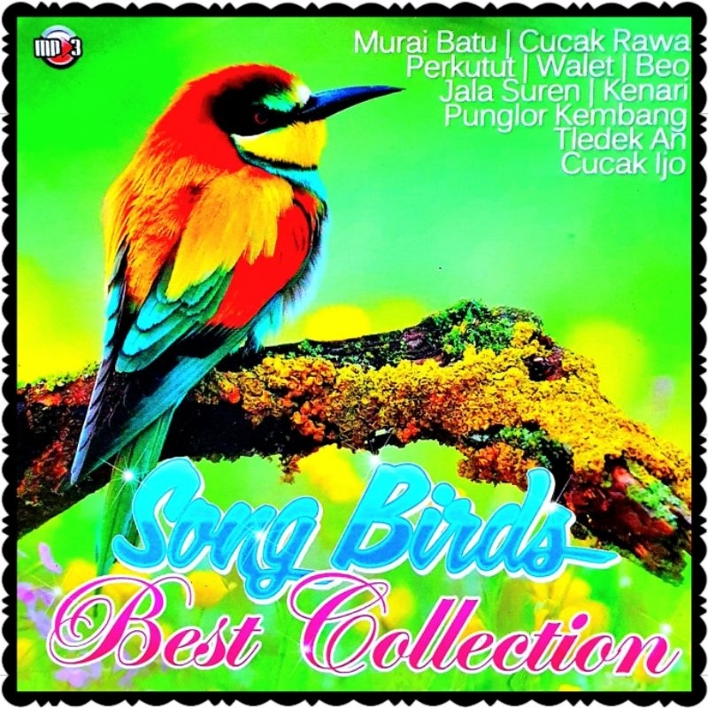 KASET CD MP3 SUARA BURUNG-SUARA BURUNG-SUARA BURUNG MURAI-SUARA BURUNG MP3-SUARA BURUNG WALET ASLI-S