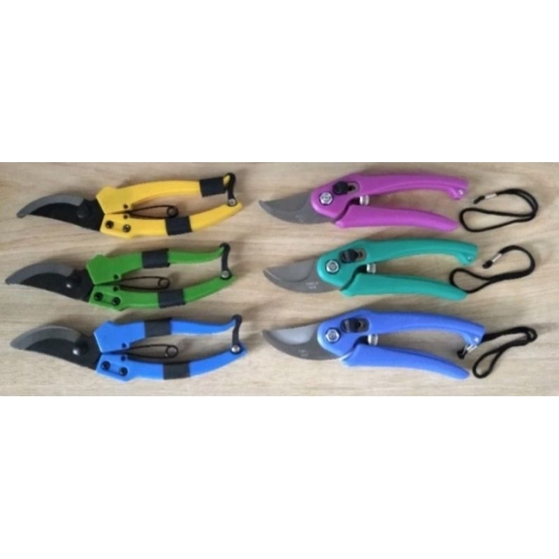 GUNTING TANAMAN UNTUK DAHAN, RANTING, PURNING, GUNTING KAWAT, TANAMAN HIAS