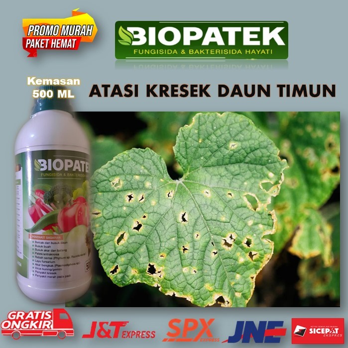 Terbaru Pupuk Paling Ampuh Atasi Kresek Daun timun - Biopatek Fungisida & dan Baktrisida hayati 500 