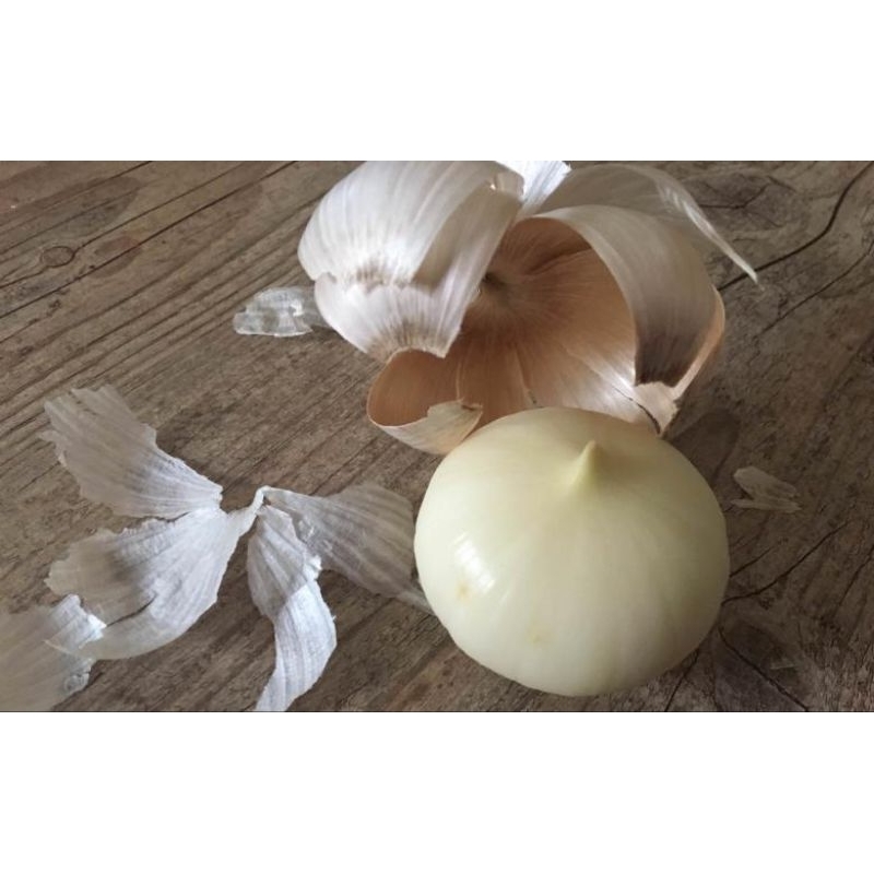 

Bawang putih tunggal