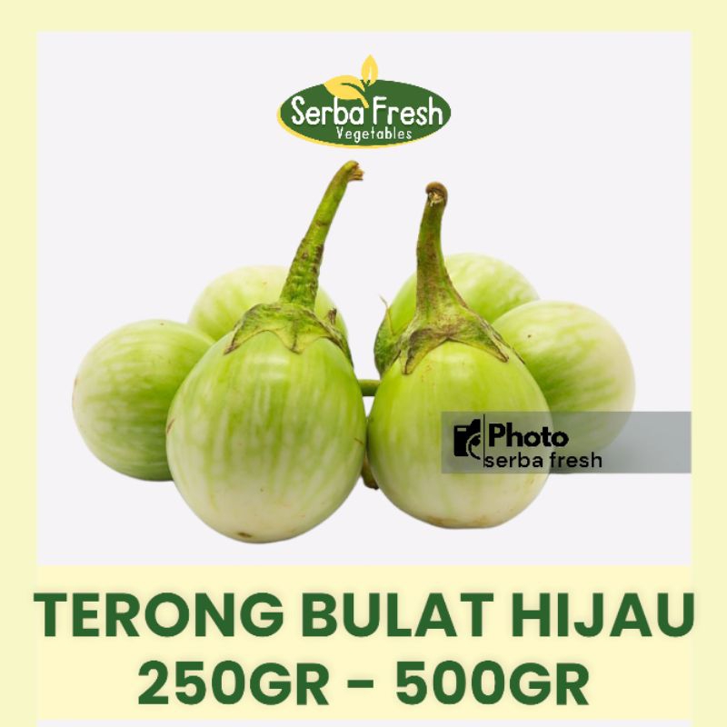 

TERONG BULAT HIJAU | 250GR & 500GR | SERBA FRESH