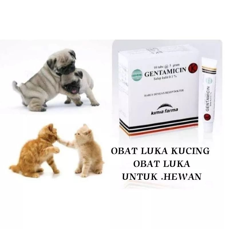 Salep Luka Kucing Anjing Ampuh Aman Hewan Genta