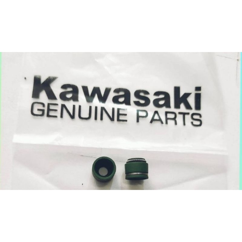 seal klep set kawasaki Kaze blit.r