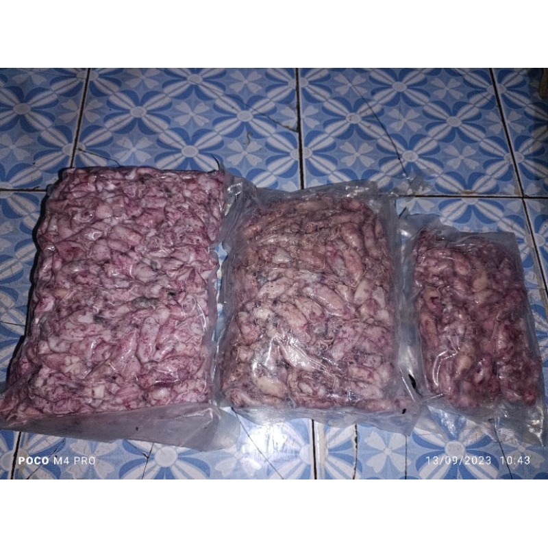 

baby cumi fresh berat 1kg