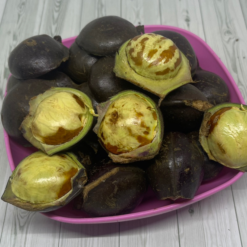 Jengkol Padang Tua Pakai Kulit 1000 gr