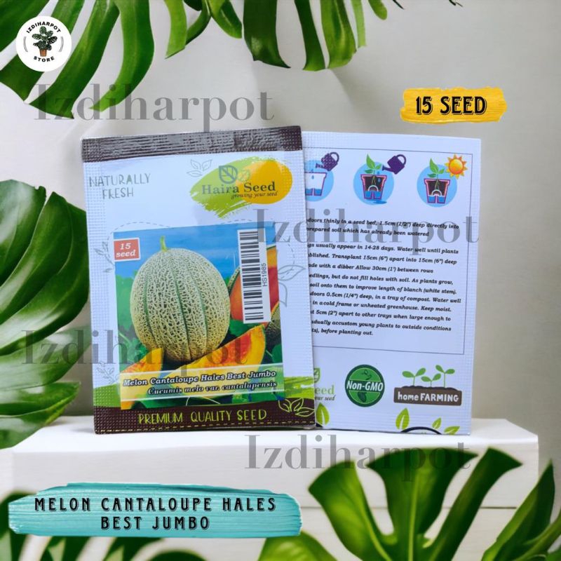 Benih Bibit Buah Melon Cantaloupe Hales Best Jumbo Haira Seed - MELON CANTALOUPE HALES BEST JUMBO