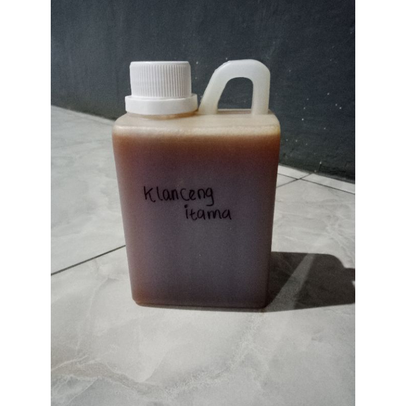 

madu klanceng itama