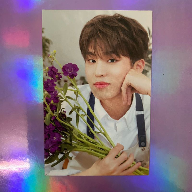 Pc Jeongwoo Binder Blooming