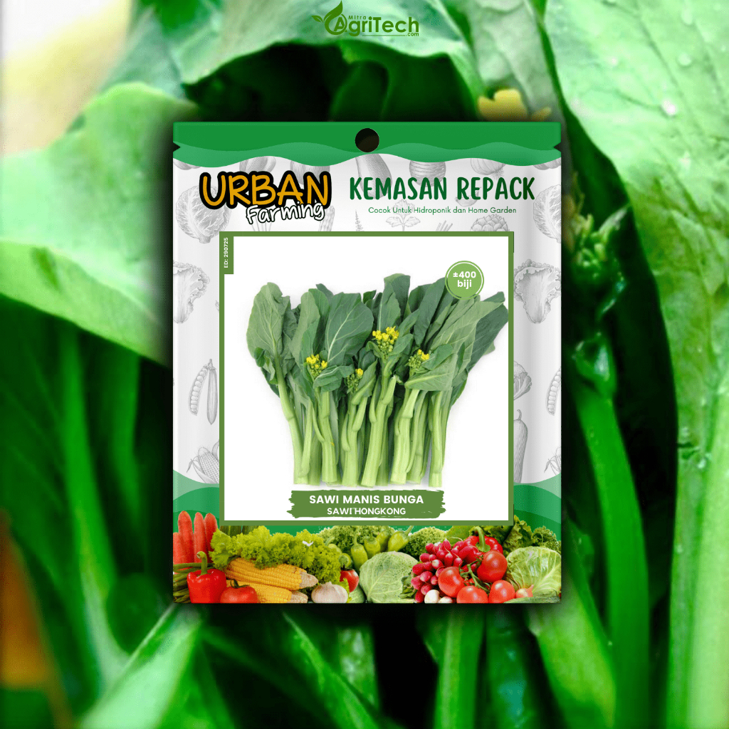 BENIH BIBIT SAWI BUNGA HONGKONG CAISIM ISI 400 BIJI KEMASAN REPACK