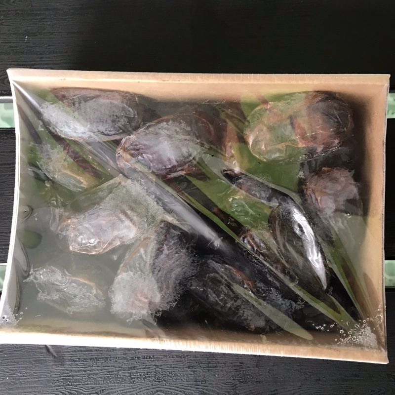 

Nahliyah Premium Quality Kurma Medjol Jumbo Palestina Berkah Berkualitas
