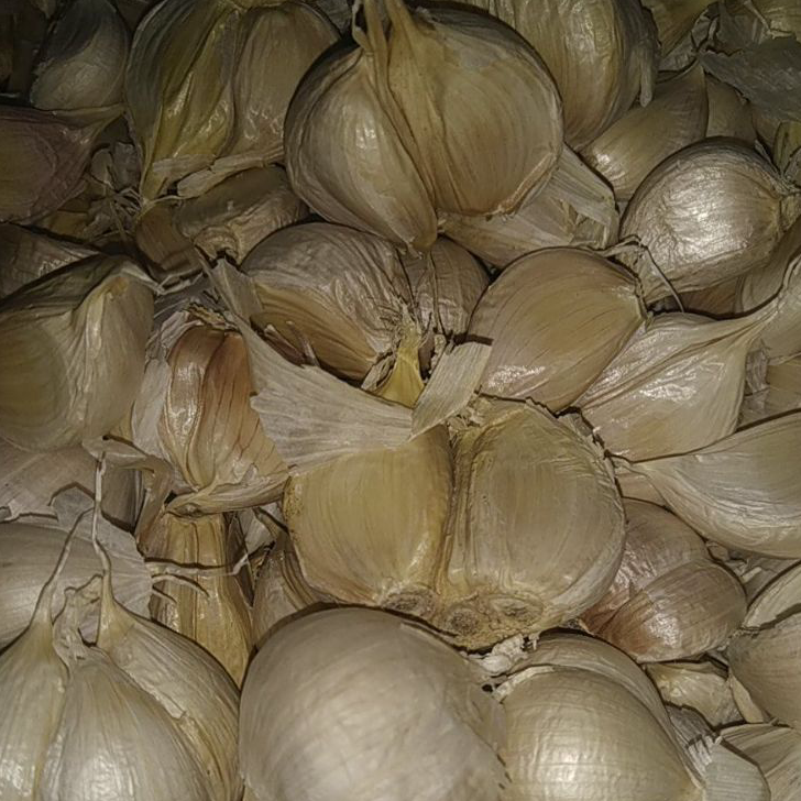 

Ready Stok BAWANG PUTIH KATING