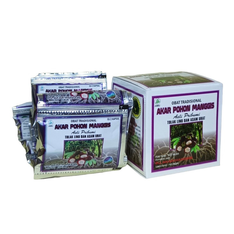 Akar pohon manggis Original