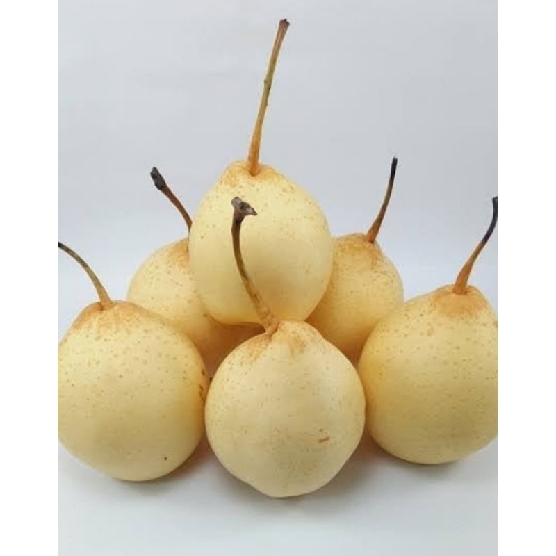 

Pear Yalie ±900gr