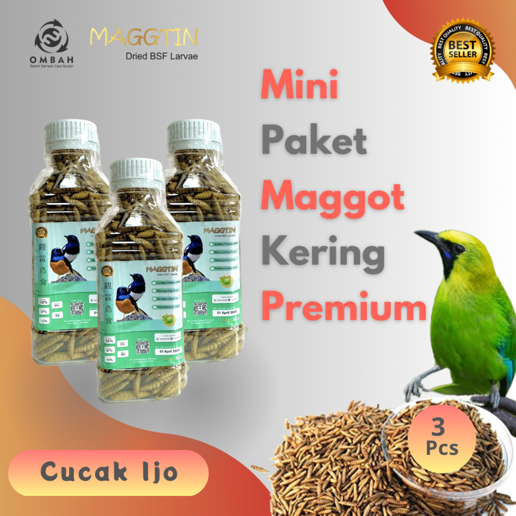 Maggot Kering Kualitas Premium Grade A - Mini Paket - Cucak Ijo