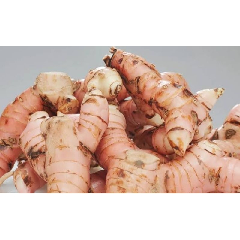 

Lengkuas Muda 500gram