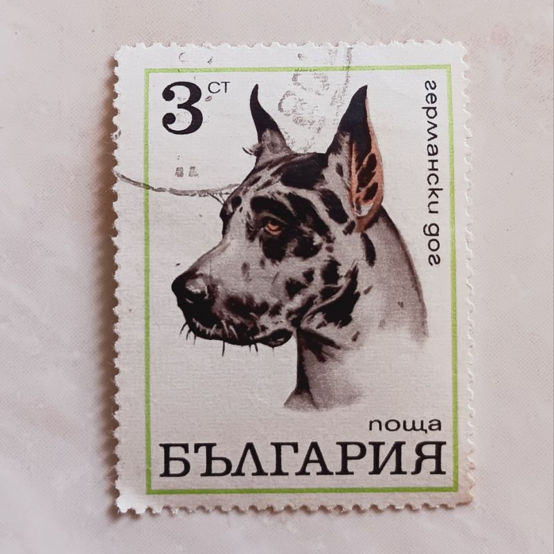 

(AD) Perangko Bulgaria Dogs (1970) - Great Dane (Canis lupus familiaris) 3ct Used
