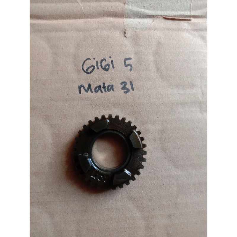 Gigi 5 rasio Tiger mata 31