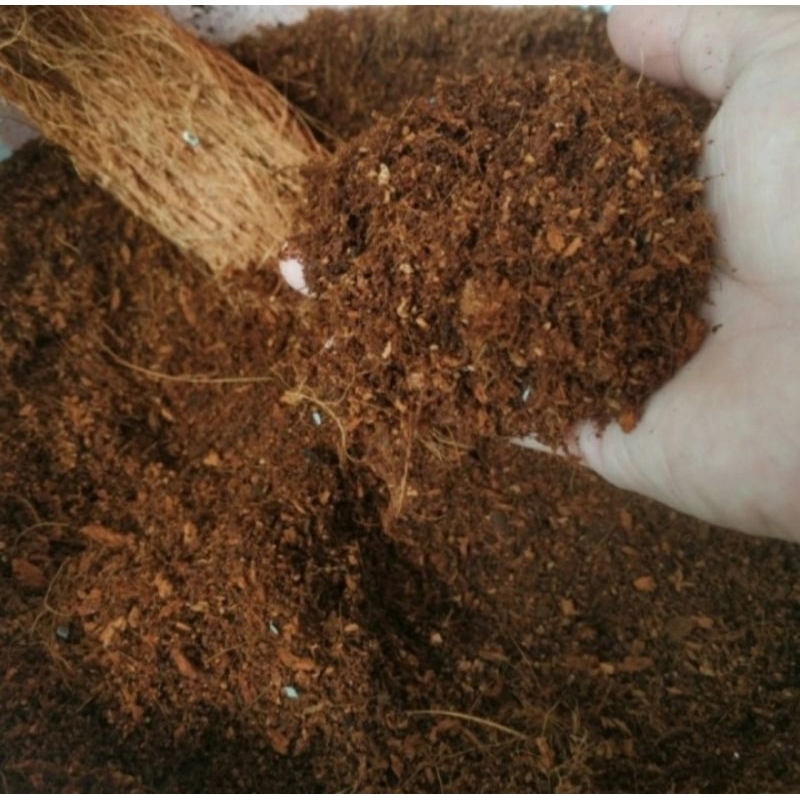COCOPEAT MEDIA TANAM BERAT 5000 GRAM | 5KG | BERSIH DARI TAMIN PERUSAK