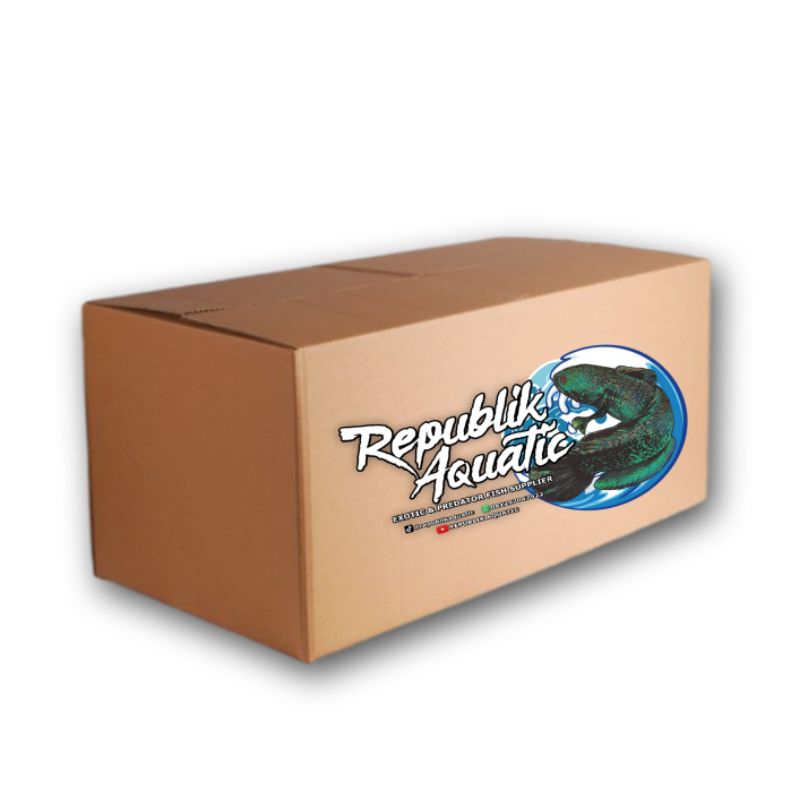 

BOX PACKING GARANSI