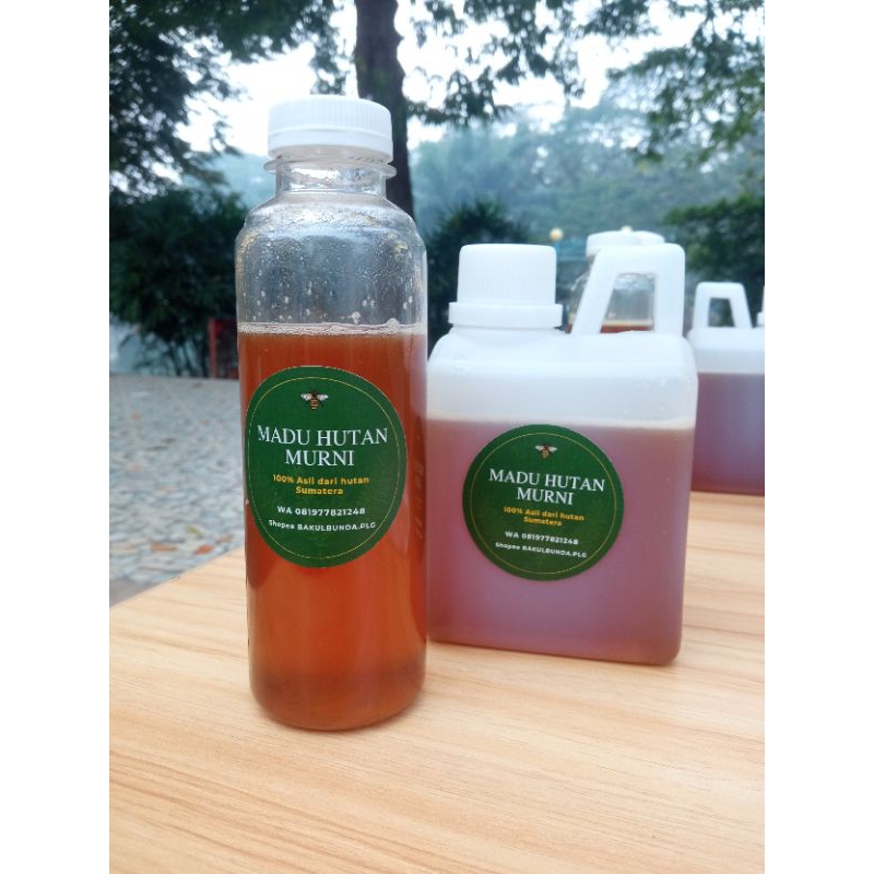

Madu Asli Hutan Sumatera