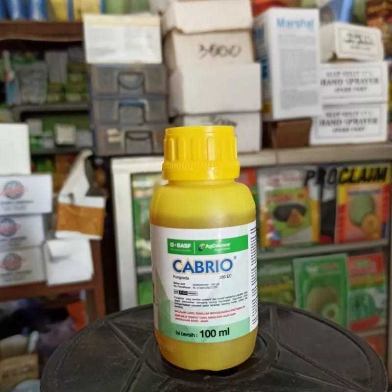 Cabrio 250 EC 100 ml