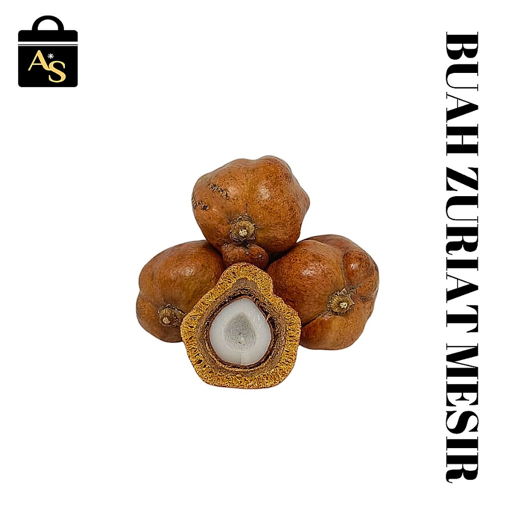 

Buah Zuriat Mesir Buah Doum kemasan 250 gram utuh dan belah Program Hamil