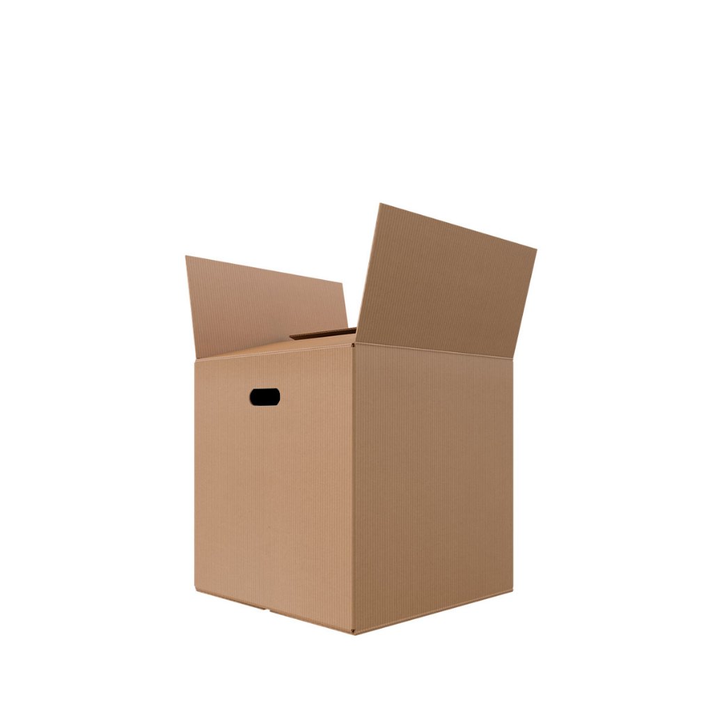 

packing full media untuk bibit delima
