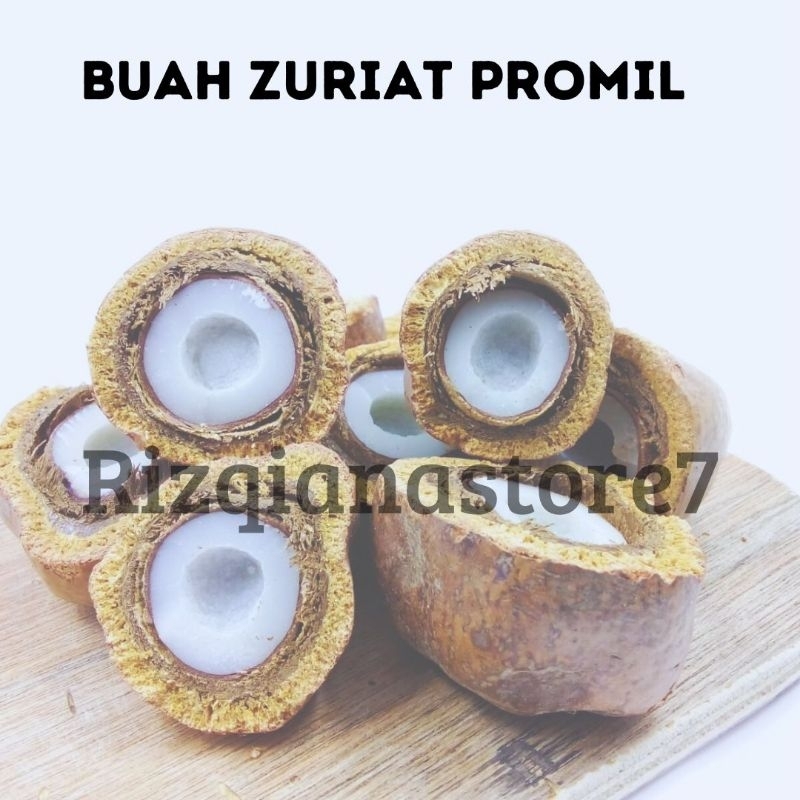 

Buah Zuriat belah/utuh 500 Gr