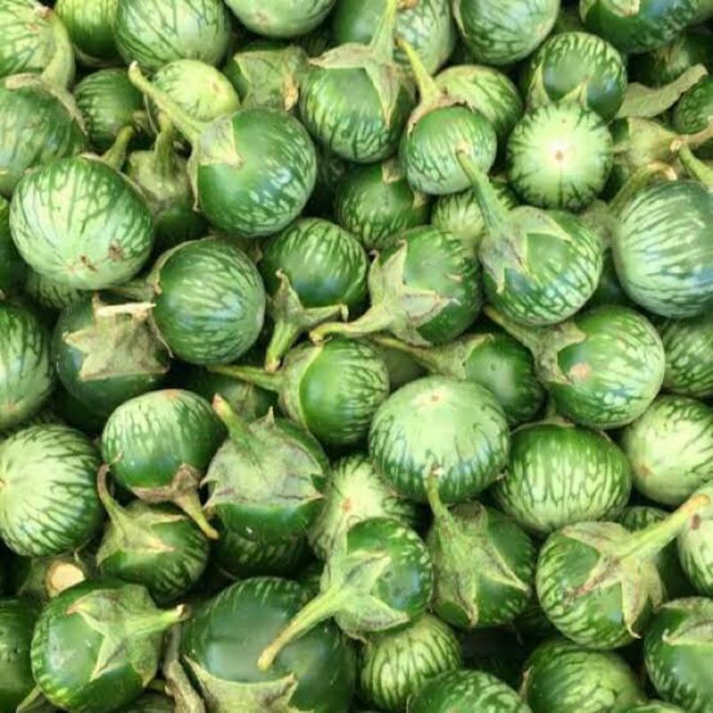

Terong Bulat 250 gr (Sayuran Segar)