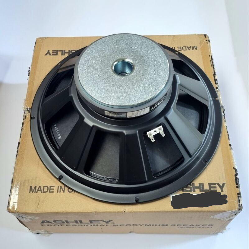 Speaker 15 inc Ashley 1538