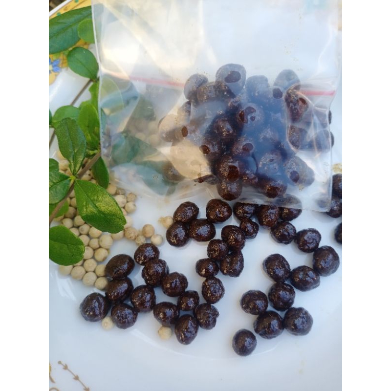 jamu manjakani