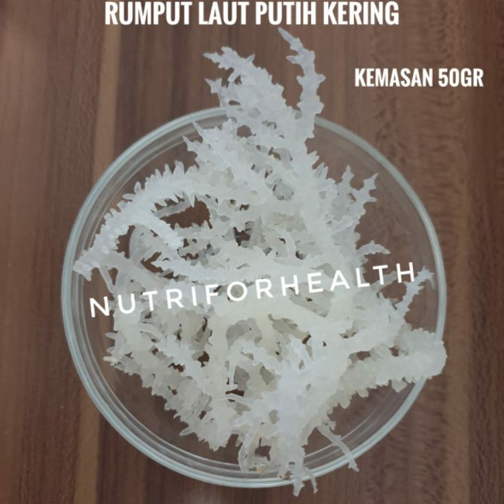 

Kirim Sekarang (50gr) Rumput Laut Putih Kering untuk campuran Dessert atau agar