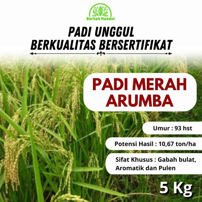 Benih Padi Merah Inpari Arumba Wangi 5kg