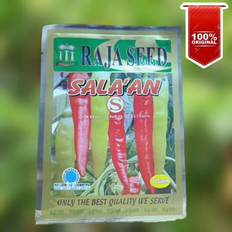 benih cabai rawit salaan / sala'an / Salakan - benih cabe rawit unggul