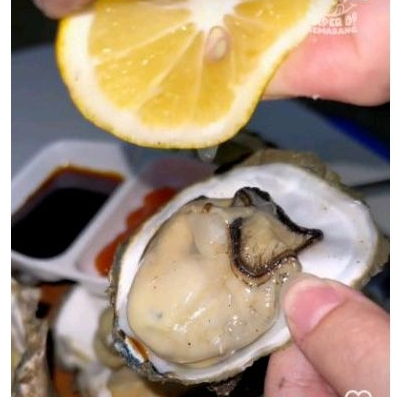 

(KENYAL GURIH) !! Kerang Tiram 500gr