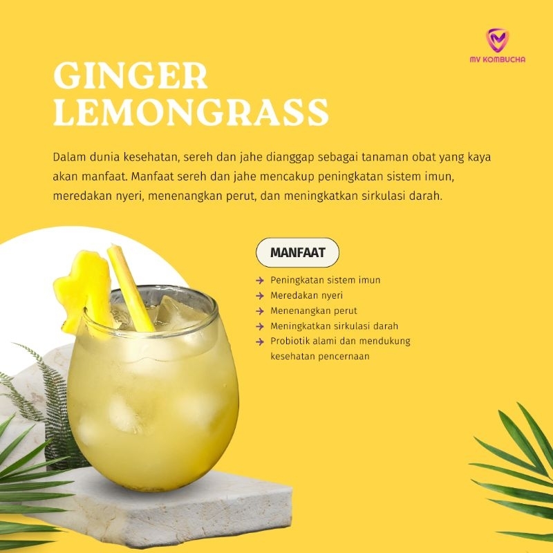 

Kombucha Gingger Lemongrass