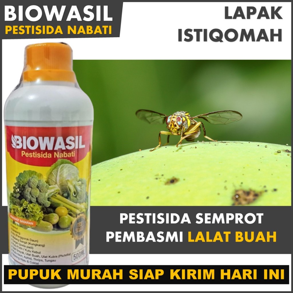 Pupuk Organik Semprot Pengendali Hama LALAT BUAH Terbaik isi 500 ML - BIOWASIL 500 ML Pestisida Semp