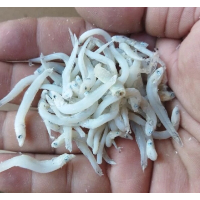 

Teri Toge Super Premium