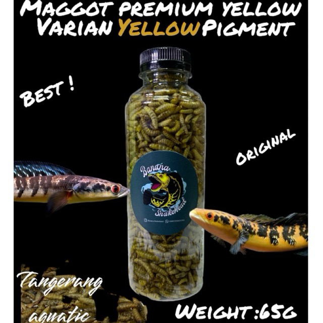 Maggot Kering BSF Super Premium Yellow Grade A+ Pakan Ikan Channa Oscar Pebas Ikan Hias Air Tawar La