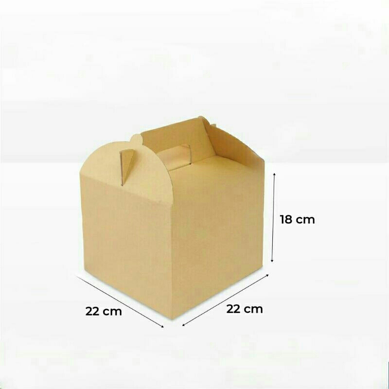 

Box Jinjing Uk 22x22x18cm (MAYA) Tenteng/Handle/Kardus/Polos/Buah