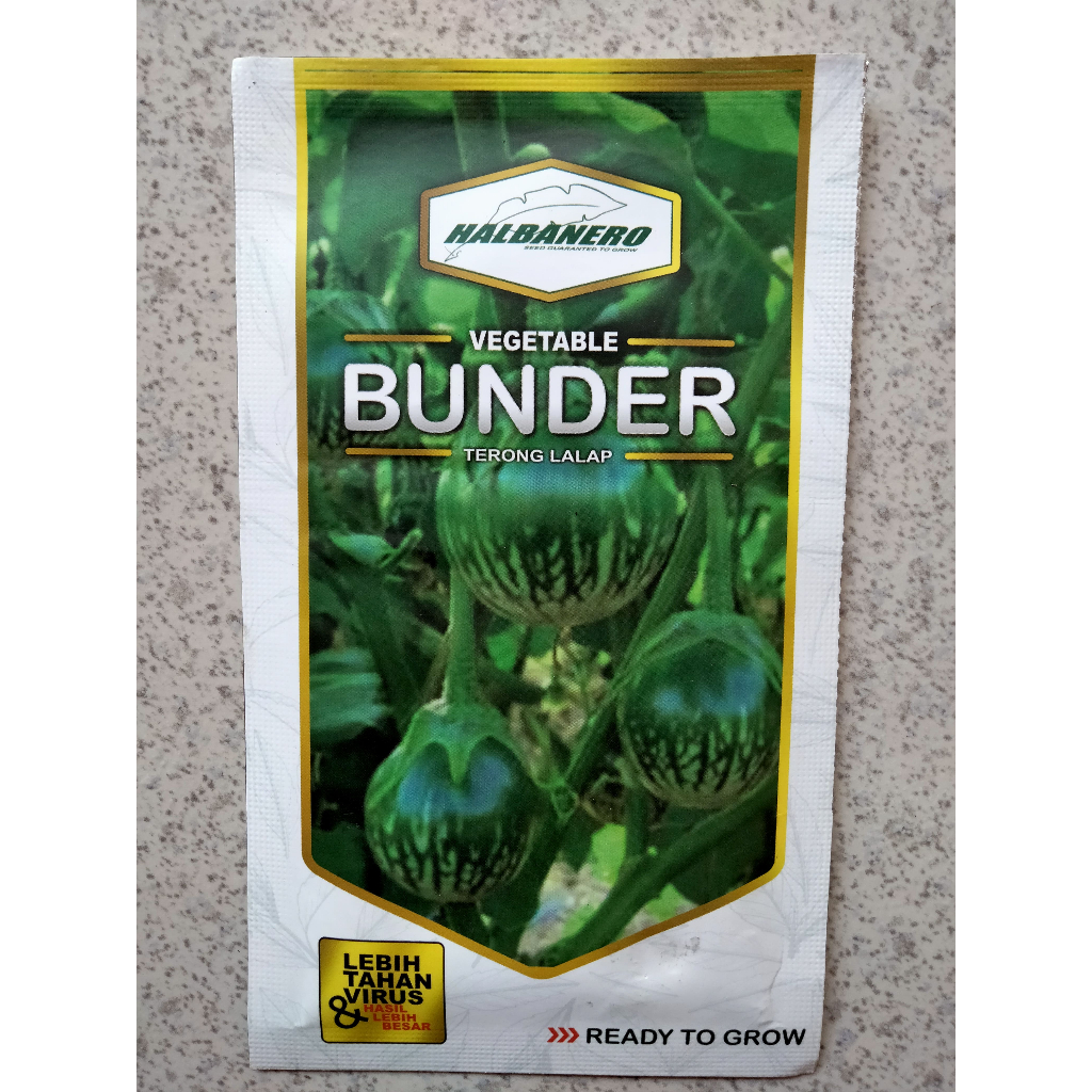 Benih Terong Lalap BUNDER Kemasan 10 Gram - Bibit Terong bunder halbanero