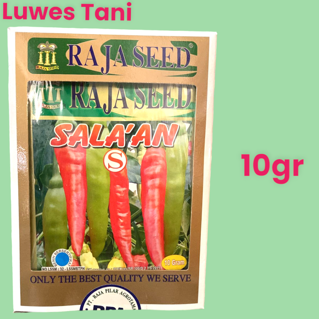 Benih Cabe Rawit Setan SALAKAN SALA’AN 10 Gram raja seed rawit merah