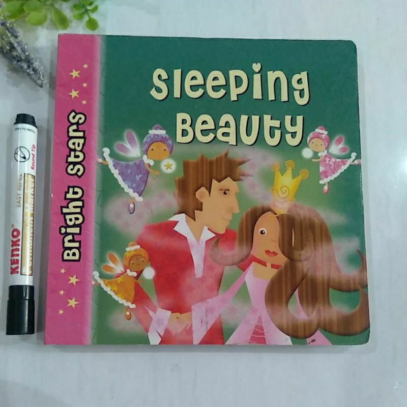 Boardbook anak preloved sleeping beauty