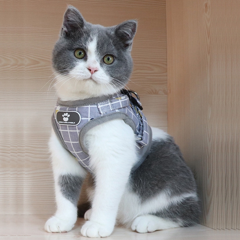 Syafatummy Tali Kucing Harness Anjing Kucing Tali Tuntun Kucing Tali Kucing Harness Kucing Rompi