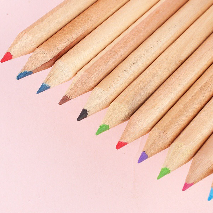 

➫✬✵ STT Pensil Warna 12 IN 1 + Serutan Pensil Color Pencils Quality Pensil Warna Karakter Kemasan Tabung Murah
