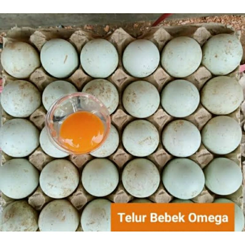 telor bebek OMEGA super mentah free kerdus+trey