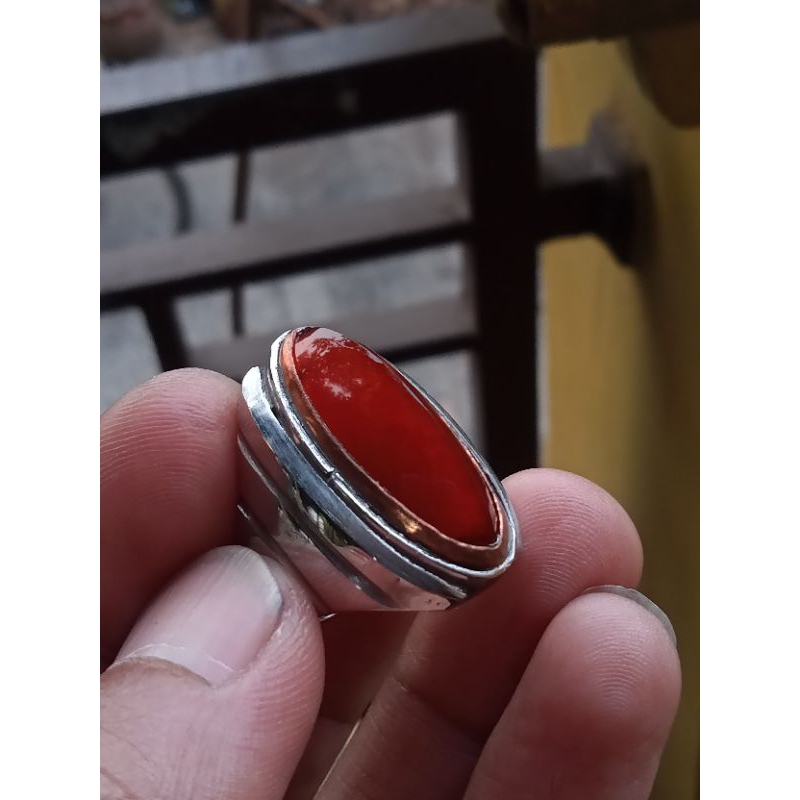 pandan merah ring 7