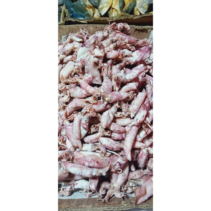 

Ikan Asin Sotong Jarum