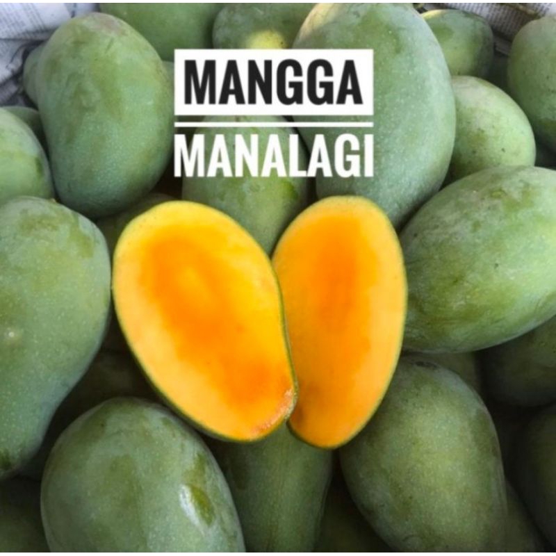 

Buah mangga simanalagi segar 1 kg buah manis buah musiman
